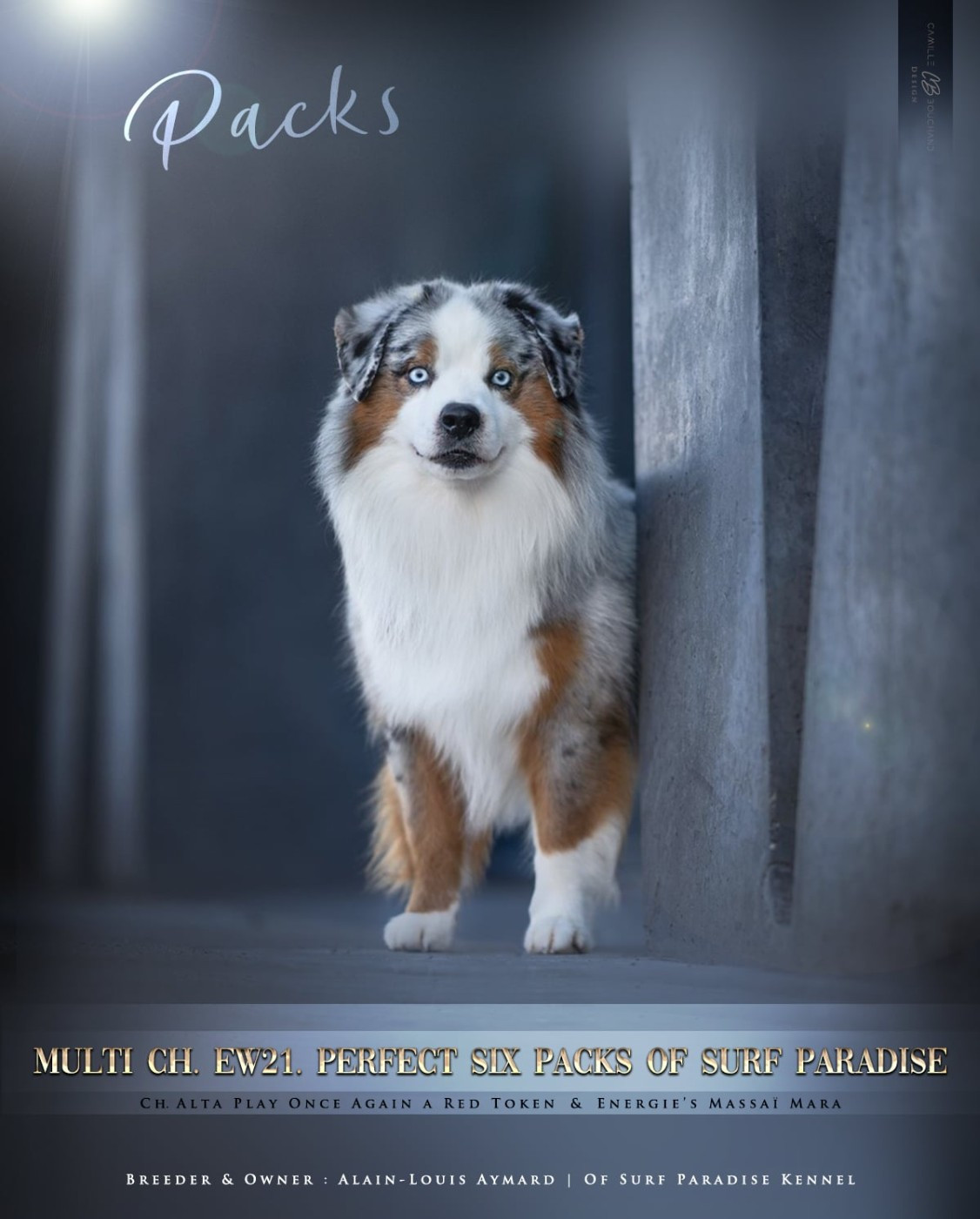 CH. Multi. Euro Ch Perfect six packs Of surf paradise