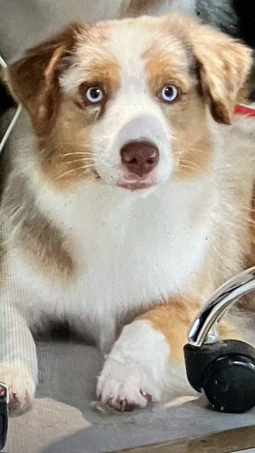 UPDATE MY MIND Of surf paradise